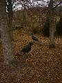 DSC00043 * 480 x 640 * (85KB)